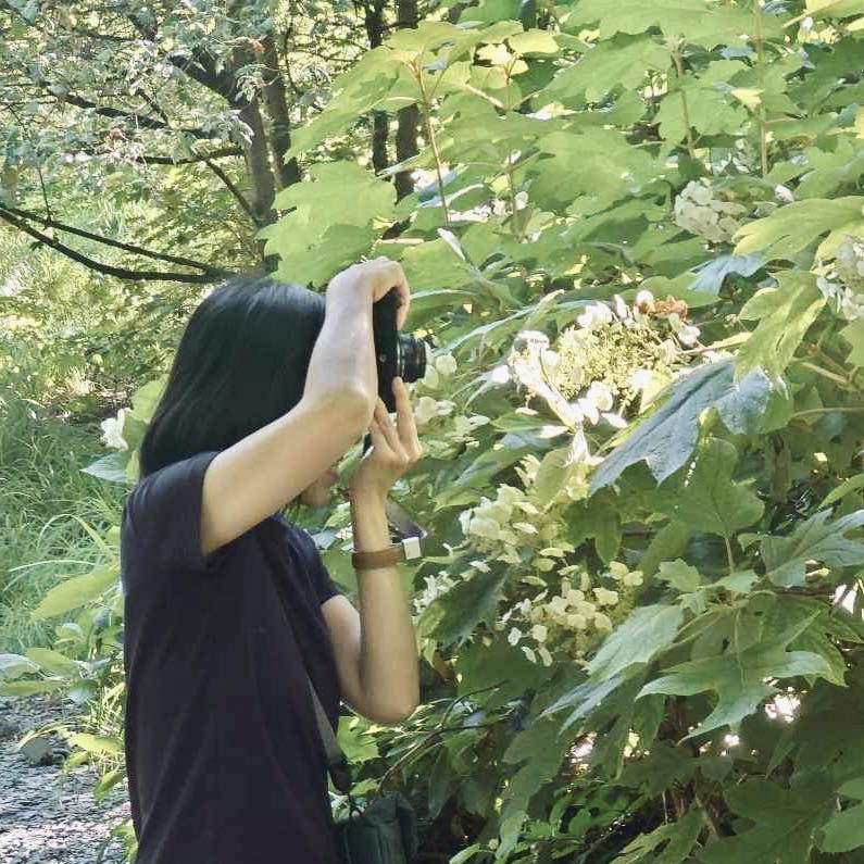 point2vue410 — photographe avec appareil photo dans la végétation